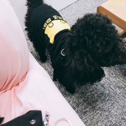 -斐尔国际皮肤管理中心