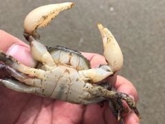 -南澳海滩