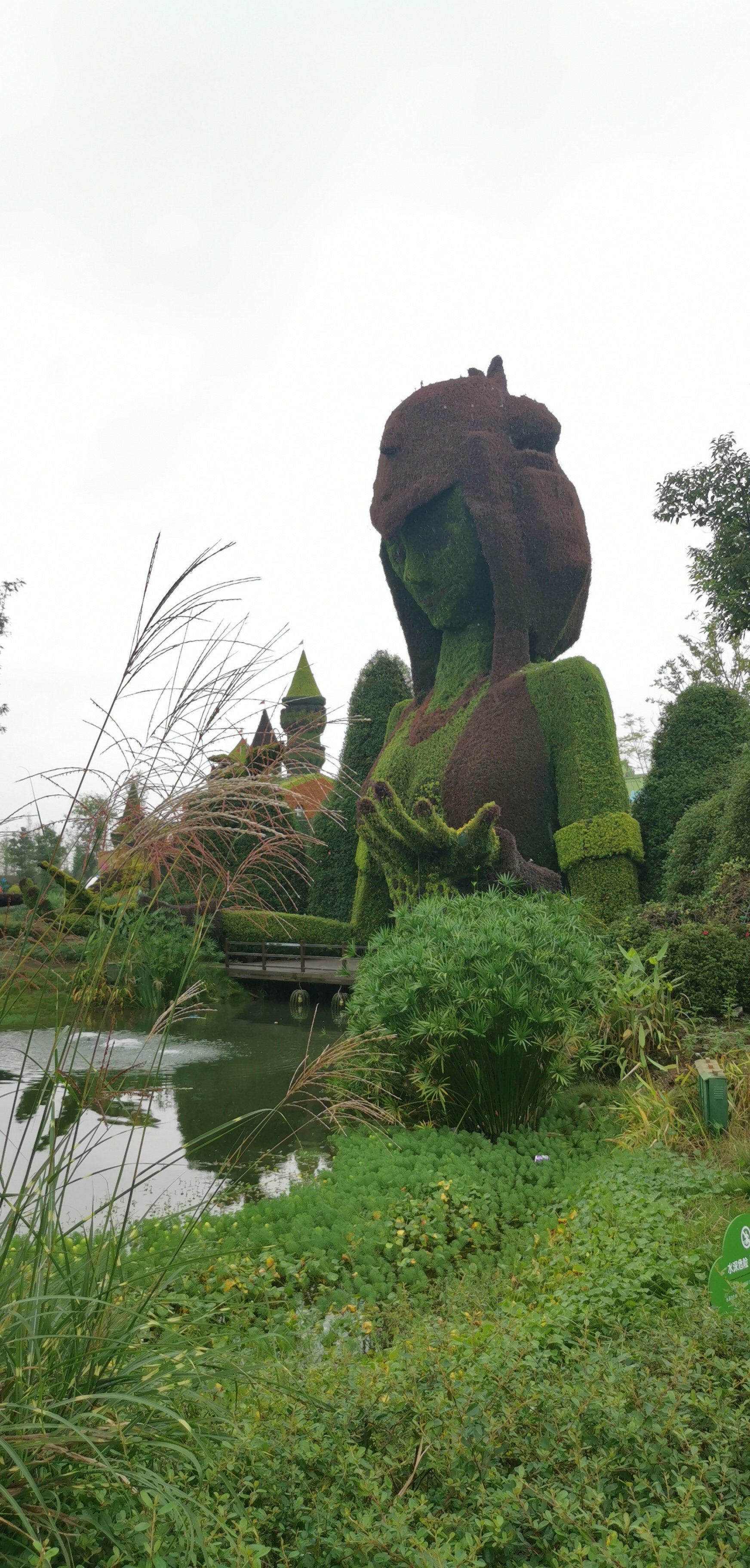 这个锦绣安仁花卉公园在大邑县,很多花花各