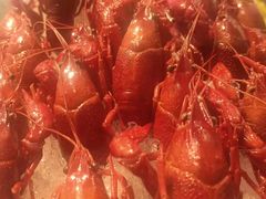 -龙宴海鲜城(经中路店)