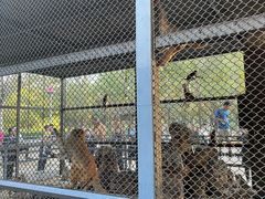 -长白岛森林公园