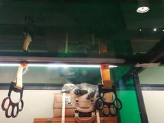 -猫咪博物馆(顶澳仔猫街店)