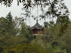 -汇龙潭