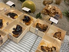 -OUR Bakery(SKP-S店)