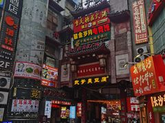 -武爹臭豆腐(坡子街店)
