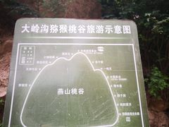 -大岭沟猕猴桃谷风景区