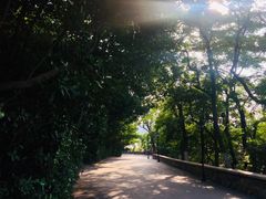 -烟台山景区