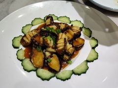 -小海丁