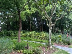 -黄兴公园