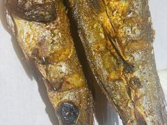 -臻炙大舍烤串(天龙家园店)