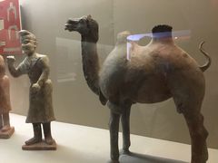 -敦煌市博物馆
