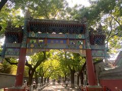 -北京国子监胡同