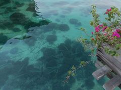 -卡帕莱度假村(西巴丹岛)