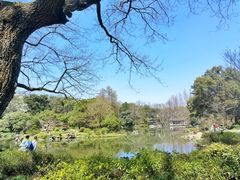 -山外山菜馆(玉泉路店)