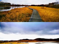 -塞罕坝国家级自然保护区