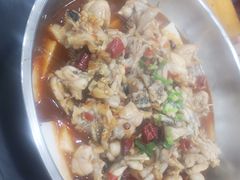 -专业跳跳蛙·彭彭老铺(步行街店)
