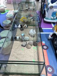 -哈姆雷斯(王府井百货大楼店)