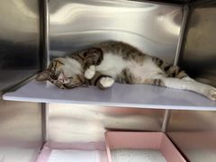 -拜鲁耶动物诊疗中心·宠家动物医院