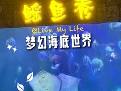 -合肥海洋世界