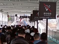 -武汉关码头(轮渡站)