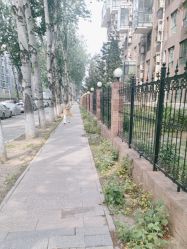 -润复丝·泽发防脱头皮管理