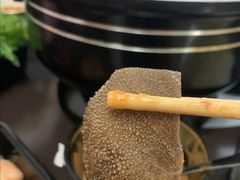 -熊猫垯火锅外卖(怀远门店)