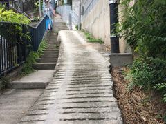 -南丫岛