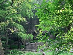 -泰山风景名胜区