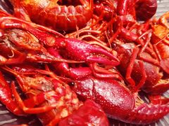 -新发展亚太JW万豪酒店·福苑咖啡厅