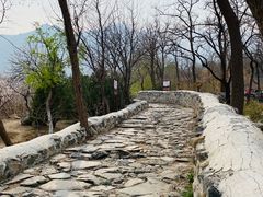 -阳台山自然风景区