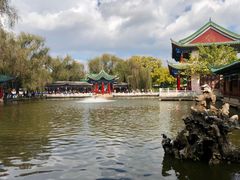 -MAP CHA普洱茶馆(翠湖店)