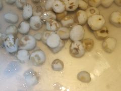 马蹄-润园四季椰子鸡火锅(海上世界店)