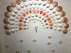 -青岛贝壳博物馆