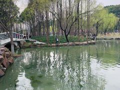-大宁公园