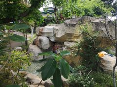 -映月潭温泉