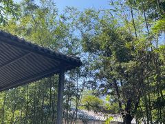 -罗浮山·罗园农庄