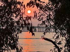 -宝安西湾红树林湿地公园