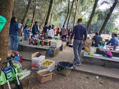 -南宁良凤江国家森林公园