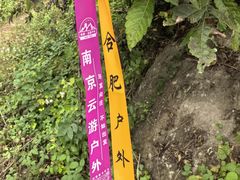 -塔川景区
