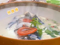千岛湖浓汤鱼头-全乐鱼馆·淳牌有机鱼直营店