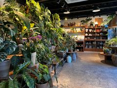 -自由生长植物工作室(深港花卉中心店)