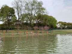 -黄兴公园