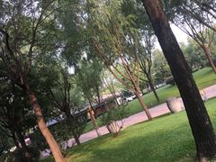 -唐城墙遗址公园