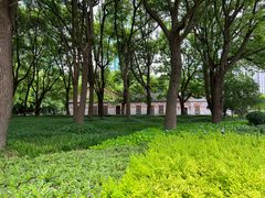 -陆家嘴中心绿地