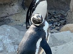 -上海野生动物园