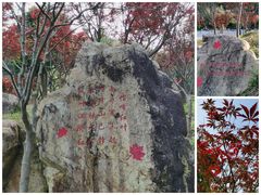-广州市帽峰山景区