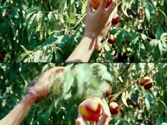 -万达影城(潍坊万达广场IMAX店)