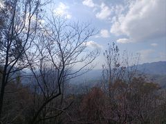 -广州市石门国家森林公园