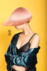 -Y-STUDIO原理