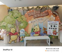 -宝生月子中心·独栋独院式(南山店)